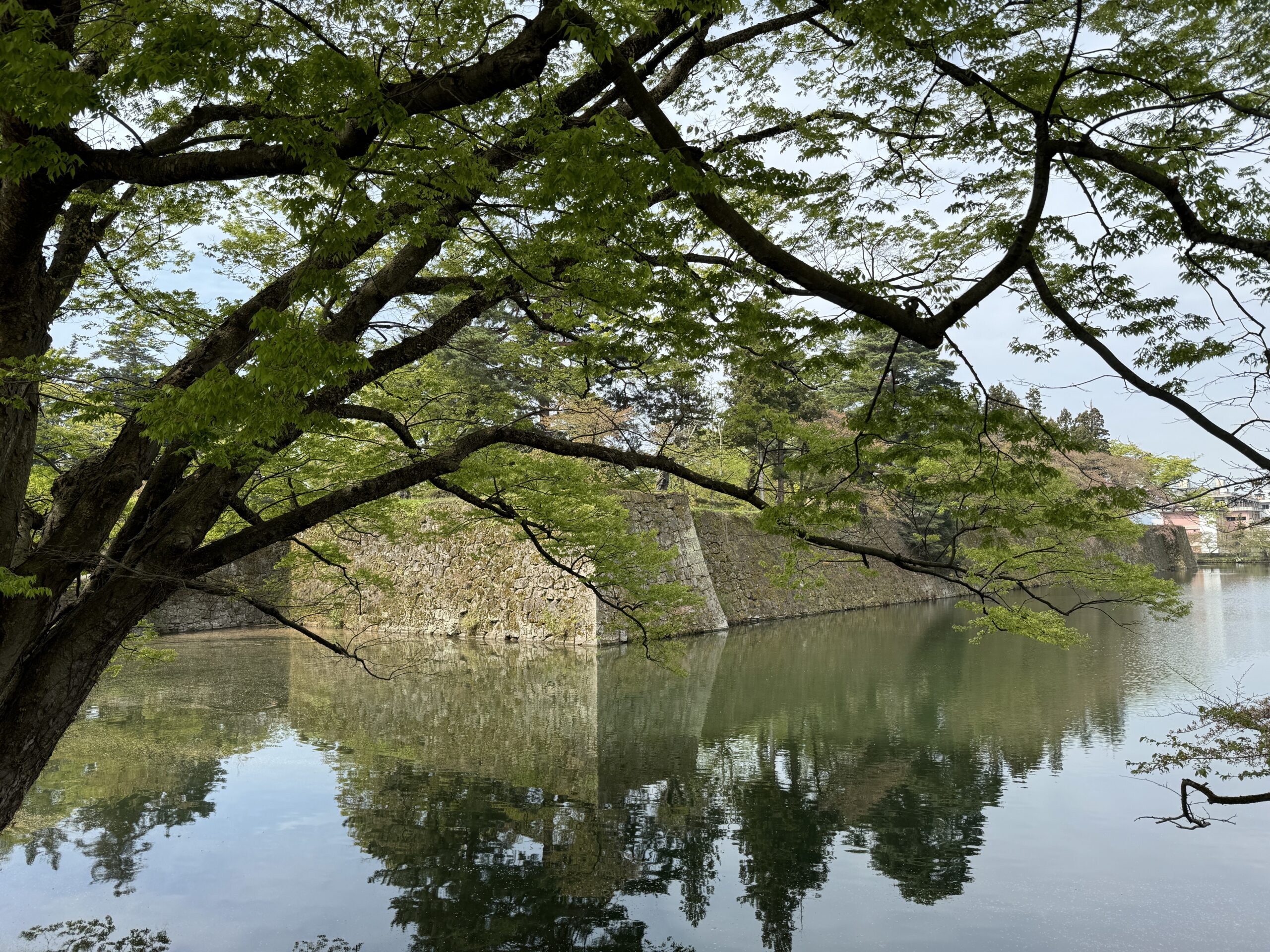 鶴ヶ城石垣
