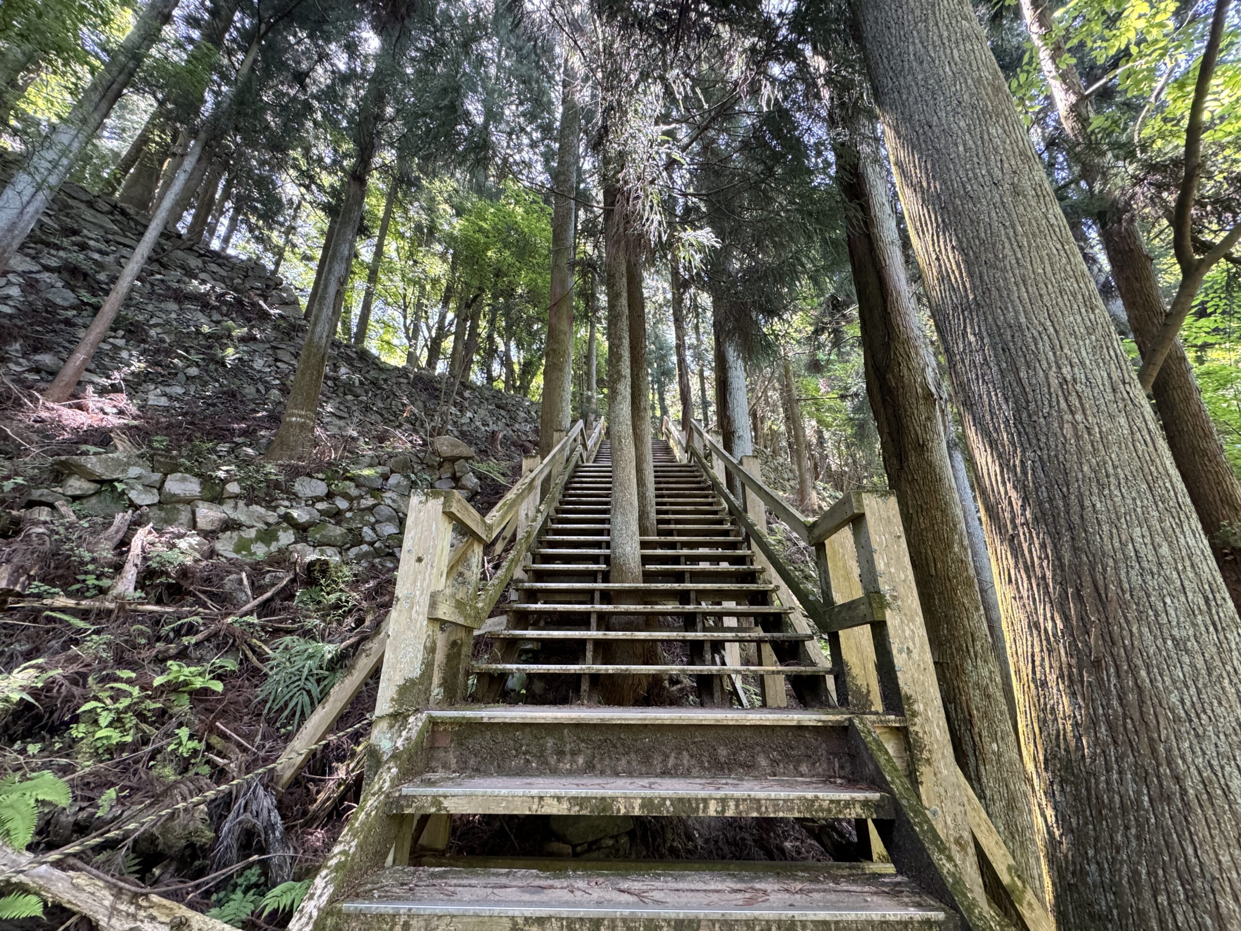 高取城樹の階段