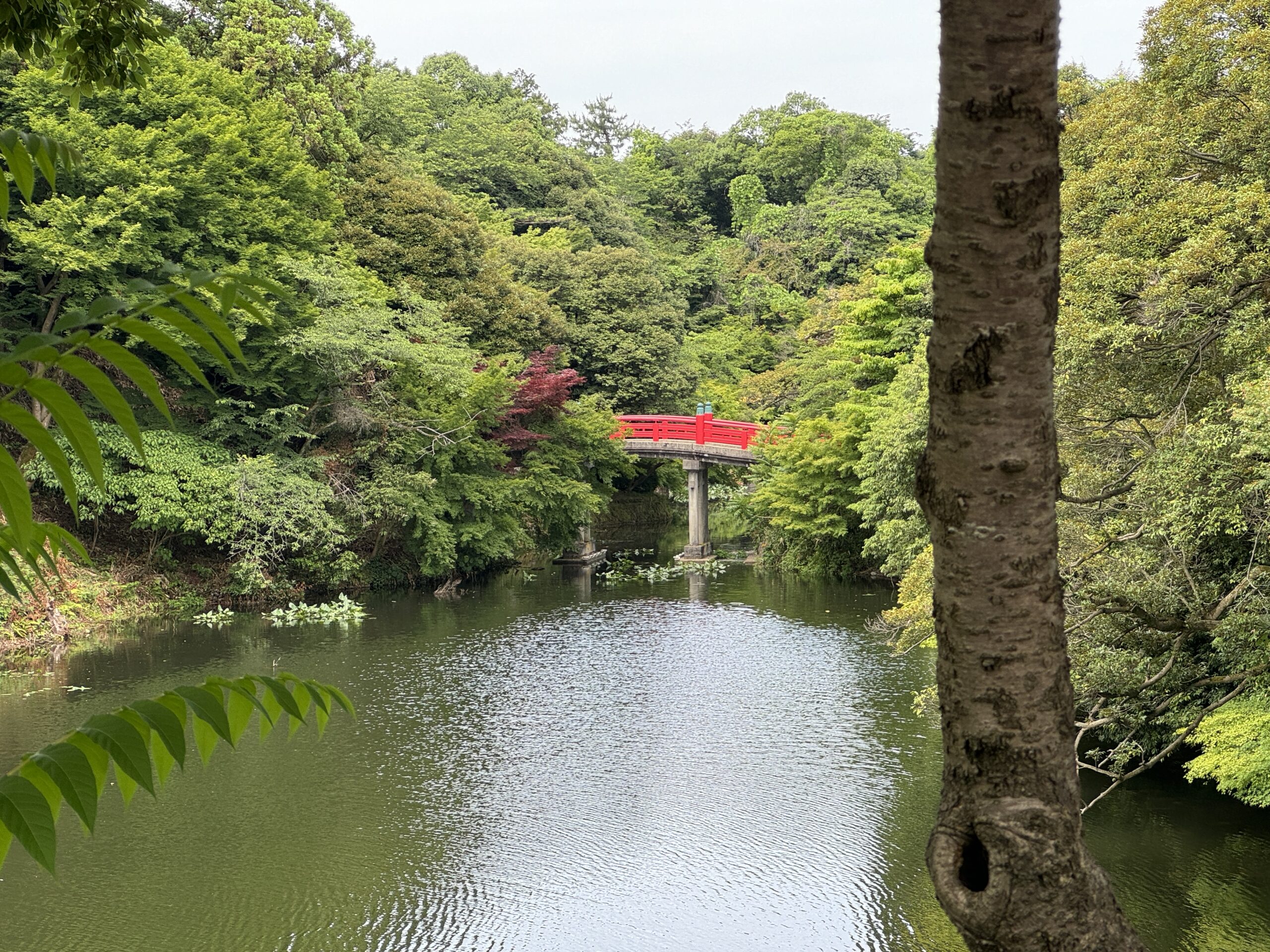 高岡城・水堀