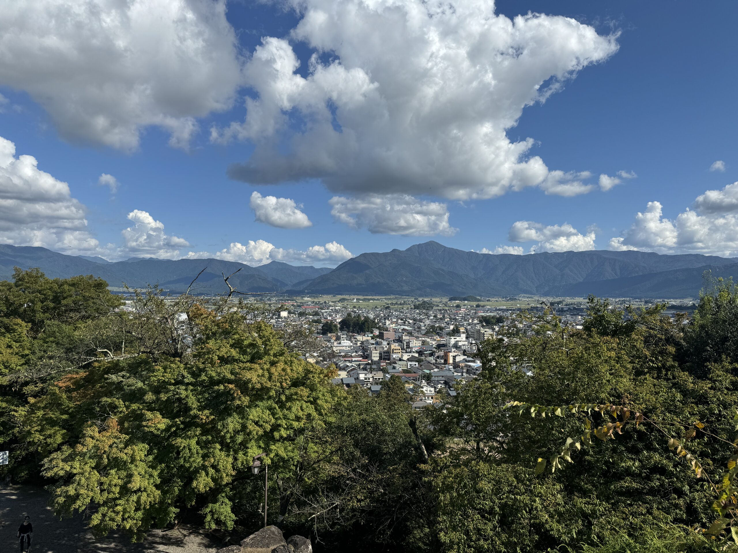 越前大野城