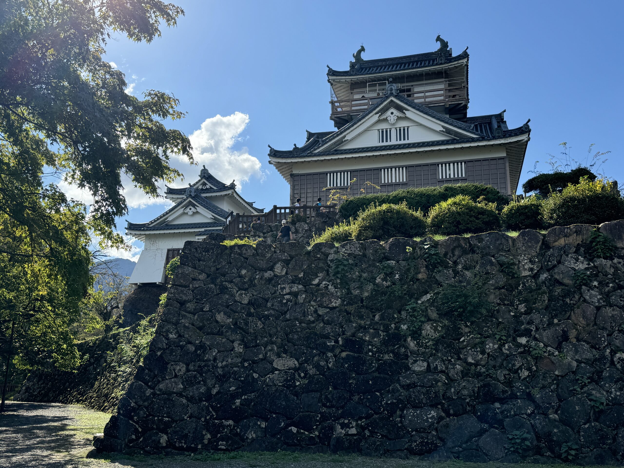 越前大野城